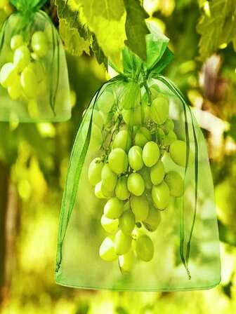 10 件花園防鳥蔬菜葡萄果植保袋、禮品袋、網袋、糖果袋帶抽繩戶外使用