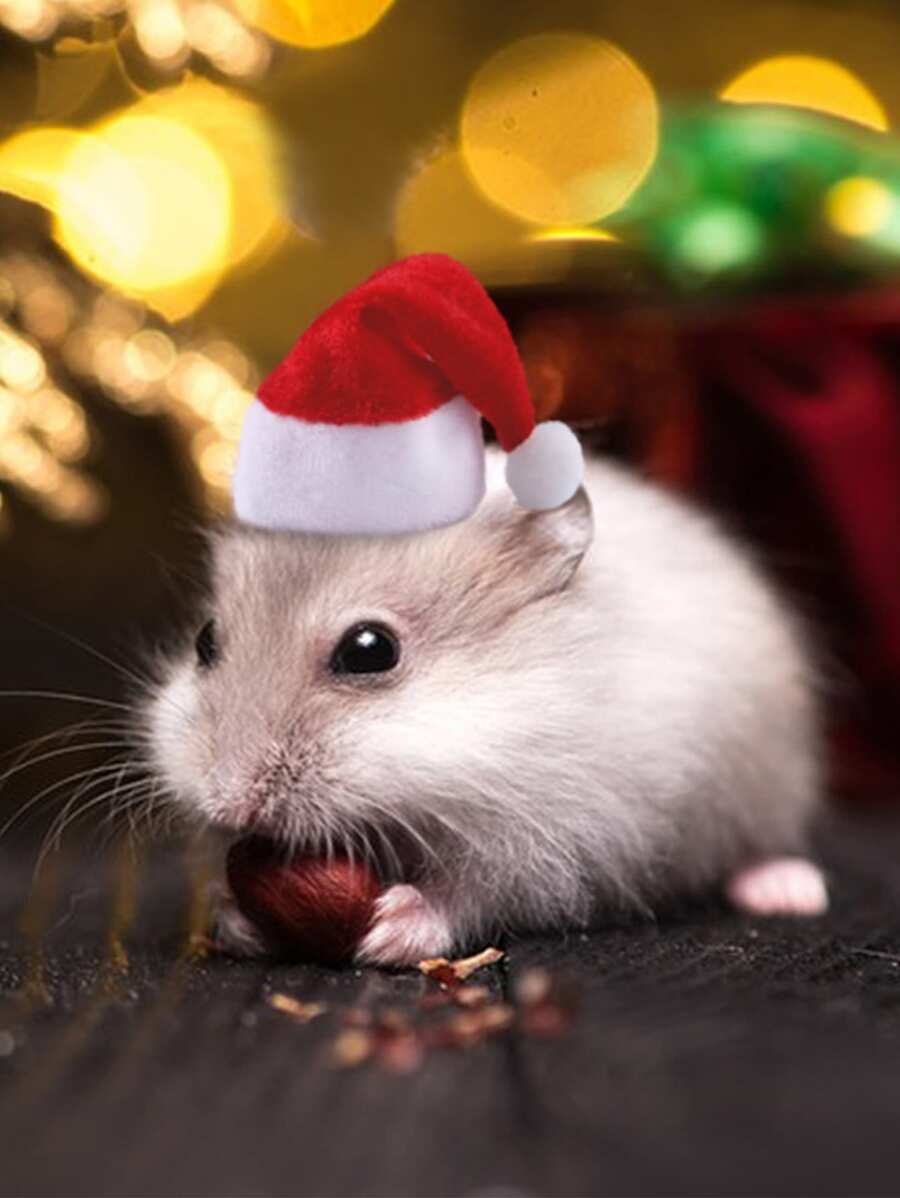 1個毛絨暖和的聖誕帽子,適用於仓鼠的節日裝扮配件,適合秋冬小動物 - 紅色 - 查看 1