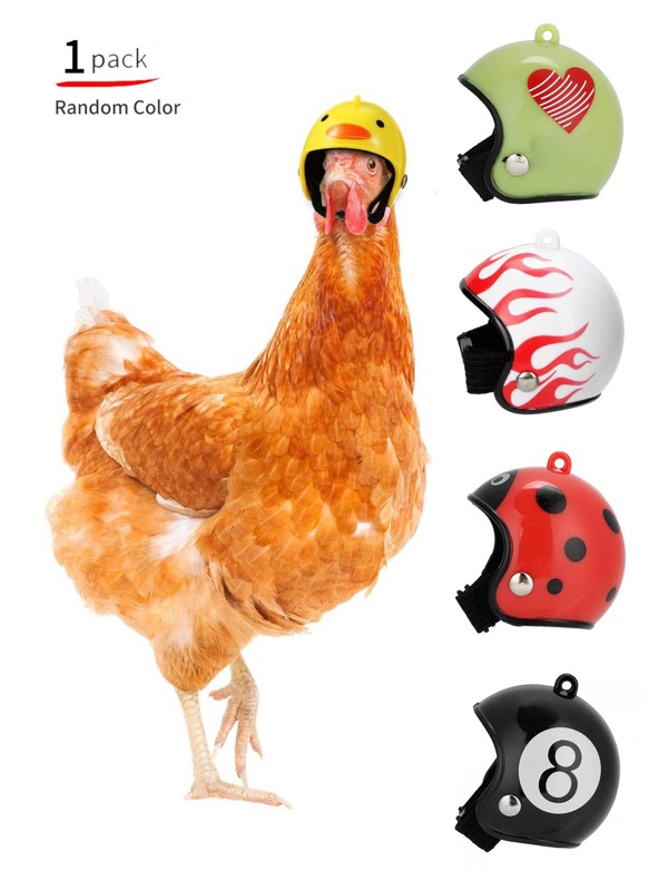1pc Random Style & Color Creative Pet Chicken Helmet Funny Protective