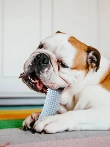 1pc Banana Design Random Pet Chew Toy For Dog And Cat For Teeth Grinding - Multicolor - View 4