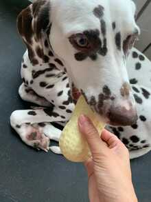 1只狗tpr花生形咀嚼玩具,耐咬和耐撕。互動式,發聲寵物玩具 - 米色 - 查看 5