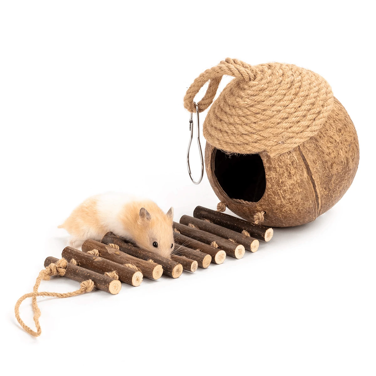 Coconut Shell Birdhouse With Rope Roof And Ladder Suitable For Photo Inspiration