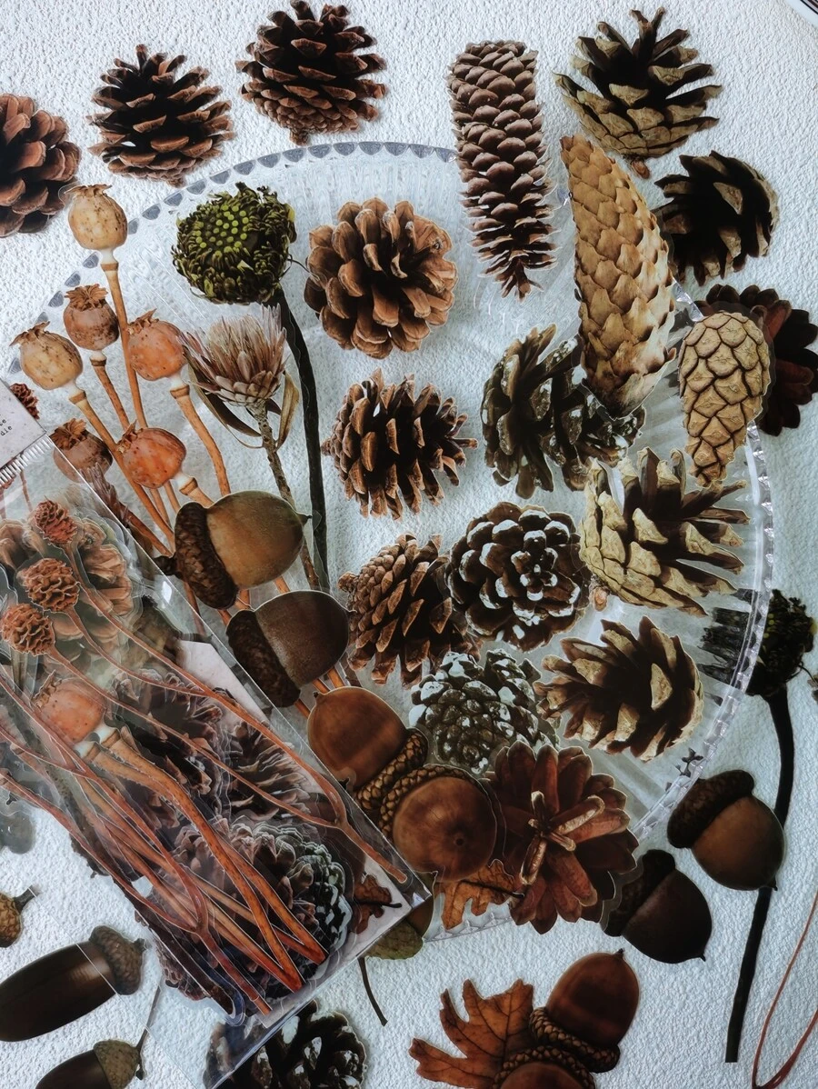 1包/20片森林、植物和水果裝飾寵物貼紙 - 彩色 - 查看 1