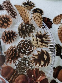 1包/20片森林、植物和水果裝飾寵物貼紙 - 彩色 - 查看 2