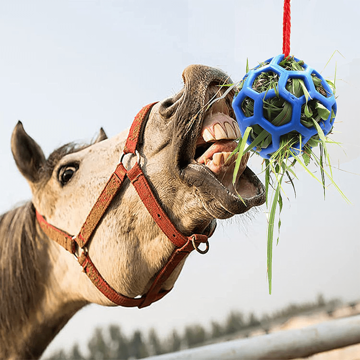 Horse Feeding Ball, Horse Stable Hanging Slow Feeder Ball Toy, Ideal For Horse Stables And Farms