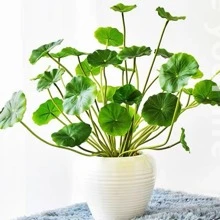 1 bó Của Màu xanh lá Cây Nhân Tạo Với 18 Lá - màu xanh lá - Xem 4