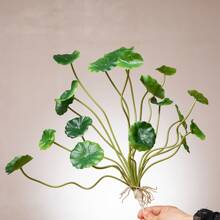 1 bó Của Màu xanh lá Cây Nhân Tạo Với 18 Lá - màu xanh lá - Xem 1