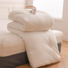 1 Pièce Noyau De Couette En Polyester Chaud Et Doux Pour La Peau Pour L'hiver, Adapté Aux Quatre Saisons