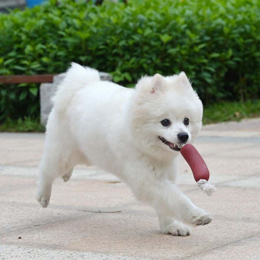 1pc Pet Dog Toy Sausage Shaped Chew Rope, Safe Silicone Puppy Toy - Burgundy - View 1