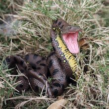 High Simulation Python Model Toy Big Realistic Snake Halloween Tricky Creepy Prank Scary Snake Toy - Coffee Brown - View 4