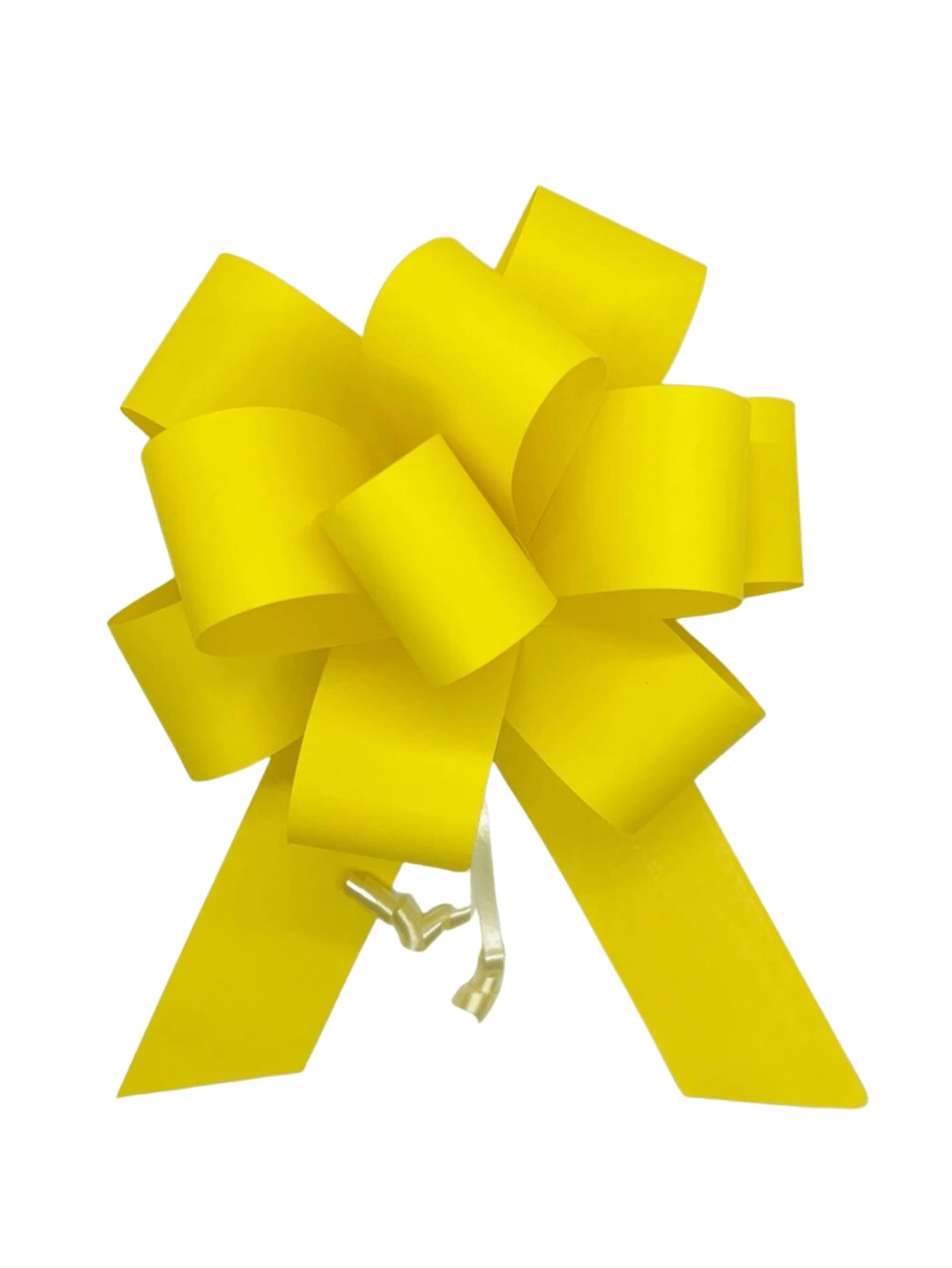 Ribbons & Bows - MÀU VÀNG - Xem 1