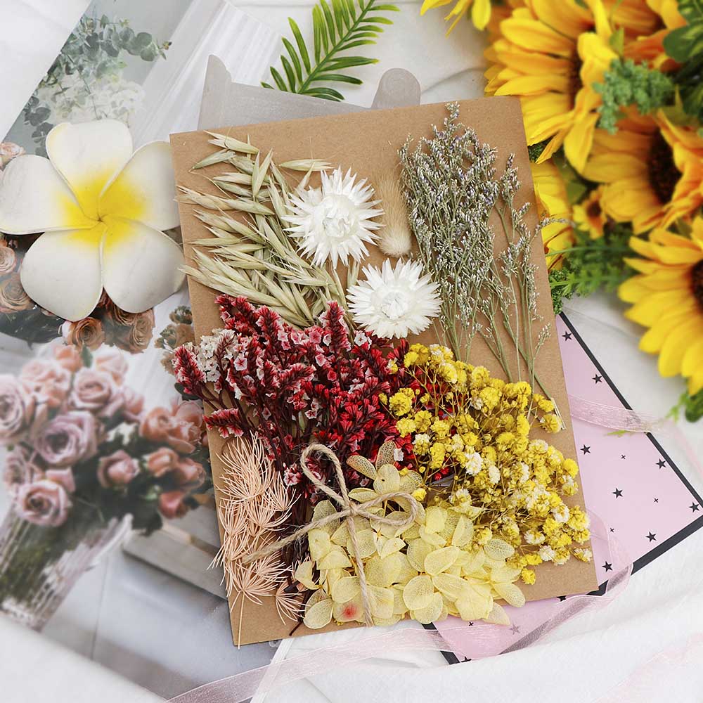 1pack Dried Flower Forever Flower Diy Photo Frame Pressed Flower Candle Making Materials - Multicolor - View 1