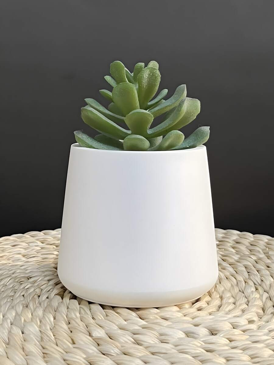 12 Bougies Cactus En Paraffine - Succulentes Décoratives, Diamètre 4cm - Pour Spa, Mariage, Décoration Maison