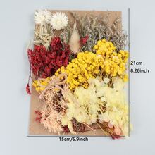 1pack Dried Flower Forever Flower Diy Photo Frame Pressed Flower Candle Making Materials - Multicolor - View 3