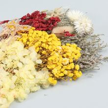 1pack Dried Flower Forever Flower Diy Photo Frame Pressed Flower Candle Making Materials - Multicolor - View 4