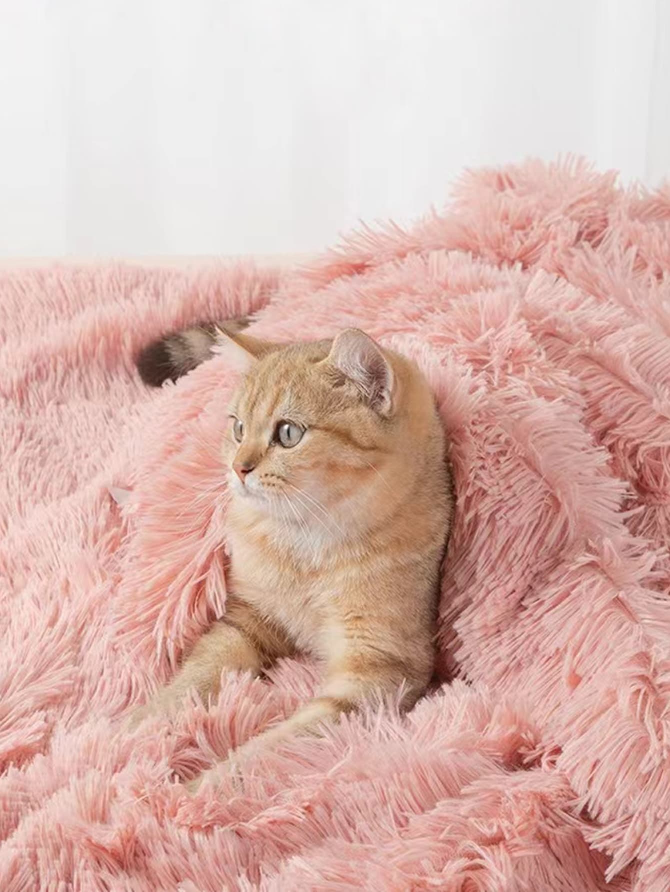 1 件粉色毛絨寵物毯,1.5 厘米厚,四季皆宜,適合大中小型貓狗 - 藕粉色 - 查看 1