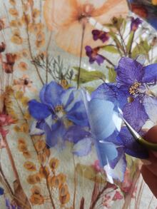 1pack 20pcs Pet Plant Stickers & Vintage Dry Flower Decorative Materials For Diy Collage & Scrapbooking - Multicolor - View 3