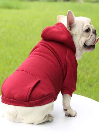 1件寵物衣服,適合小狗(建議選擇一個尺寸更大的),保暖舒適的狗狗運動衫,適合秋冬使用