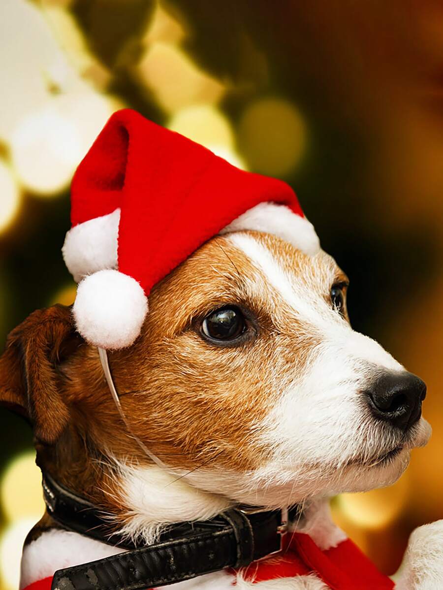 1入組聖誕寵物狗狗貓聖誕老人帽小小狗聖誕節假期服飾裝飾品角色扮演道具聖誕晚會 - 紅白色 - 查看 1