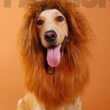 1隻萬聖節寵物獅鬃假髮狗服裝 - 咖啡棕 - 查看 1