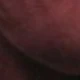 Vinho