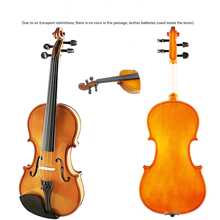 Violino Instrumento Musical - 4/4 - Visão 2