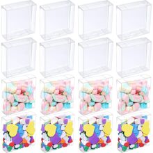 20 包透明礼盒，用于礼品塑料透明礼品盒，透明零食盒，糖果盒，透明饼干盒，用于婚礼派对、生日派对、万圣节（4 x 4 x 1.2 英寸）单身派对、新娘婚礼礼物、新娘礼物、生日、礼品袋、礼品袋、派对回礼袋、零食袋、透明派对袋、派对回礼袋、生日袋、秋季包装、返校情人节 - 透明 - 查看 1