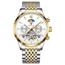 TRSOYE Moon 304 不鏽鋼金殼夜光功能陀飛輪機械機芯鏤空手錶男款 30 巴防水 - 金色 - 查看 9