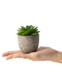 1入組襯有灰色花盆的人工多肉植物,適用於辦公桌、書架、辦公室、家庭室內浴室等小型空間裝飾 - 綠色 - 查看 2