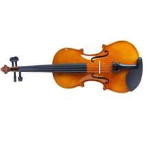 Violino Instrumento Musical - 4/4 - Visão 4