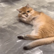 隨機顏色可愛逼真老鼠和貓咬玩具,互動式貓咪玩具,貓咪和寵物玩具用品