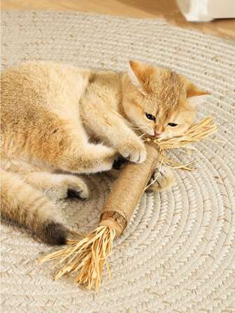 1pc Natural Cat Interactive Cat Toy, Cat Snacks, Teeth Cleaning Chewing Toy