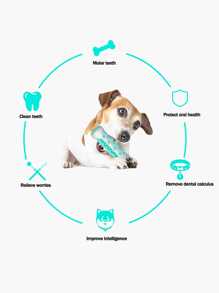 1只藍色狗狗咬咬玩具和牙刷,適用於大型、中型和小型犬牙齒磨損和清潔 - 藍色 - 查看 4