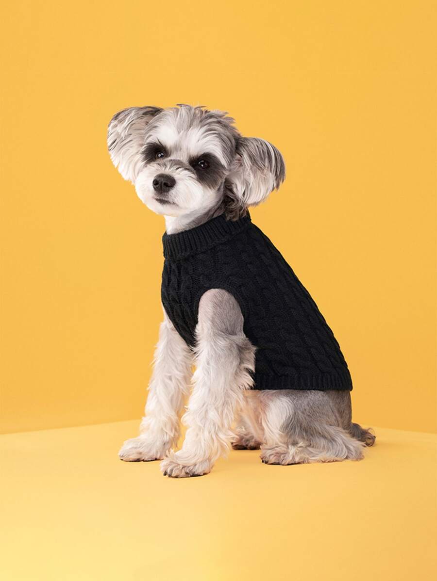 1入組黑色純色弹力宠物针织衣,适用于猫和狗的春/秋季装 - 黑色 - 查看 1