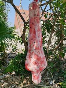 1pc Inflatable Realistic Hanging Zombie Decoration For Halloween Party Indoor Outdoor - Multicolor - View 3