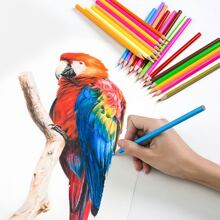 1 Bucket Of Colored Pencils (12/18/24/26/48 Pcs) And 1 Random Colored Pencil Sharpener, For Sketching, Doodling, Drawing Tools Back To School,Back To School,School Supplies