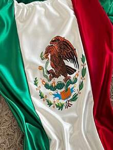 VESTIDO PATRIO FIESTA MEXICANA CASUAL FORMAL DE DAMA - Ver 3