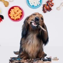 Dog Treats (Beef Heart) 100% Natural - Multicolor - View 3