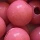 Rose cuivré