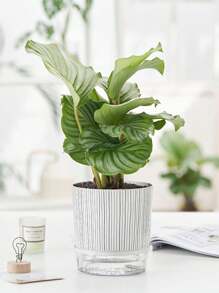 1pc Black And White Zebra Stripe Pattern Plastic Planter With Transparent Bottom, Creative And Simple Design, Self-Watering Rope And Thicken Water Storage Basin, Suitable For Gardening Such As Growing Potted Plants At Home.