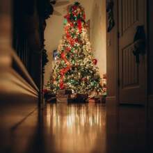 Luces Navideñas Serie Navidad 100 Led Colores 10 M 8 Modos Diferentes Colores - Amarillo - Ver 3