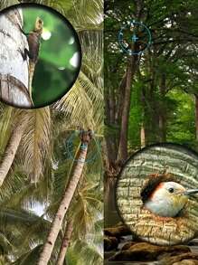 500X25 Portable Hd Zoom 5000M/50000M Binoculars, High Power 10X Compact Binoculars With Center Focus, Portable Folding Monocular For Outdoor Enthusiasts, 22mm Objective Lens, BAK4 Prisms, Rubber Material, Hunting, Outdoor Activities, Travel, And Concerts