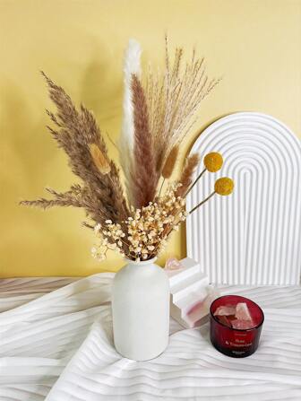 1 束 17 英寸/43 厘米小干芦苇，棕色和白色，带满天星、金果、兔尾草、蒲苇、扇形装饰 - 非常适合客厅、摄影道具、派对装饰、桌面装饰、花园、咖啡厅、庆典、生日礼物、家庭聚会、室内外装饰、情人节、礼物