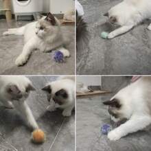 9pcs Foil Shiny Cat Balls, Cute Glitter Cat Toys Random Color And Size, Suitable For All Indoor Cats - Multicolor - View 6