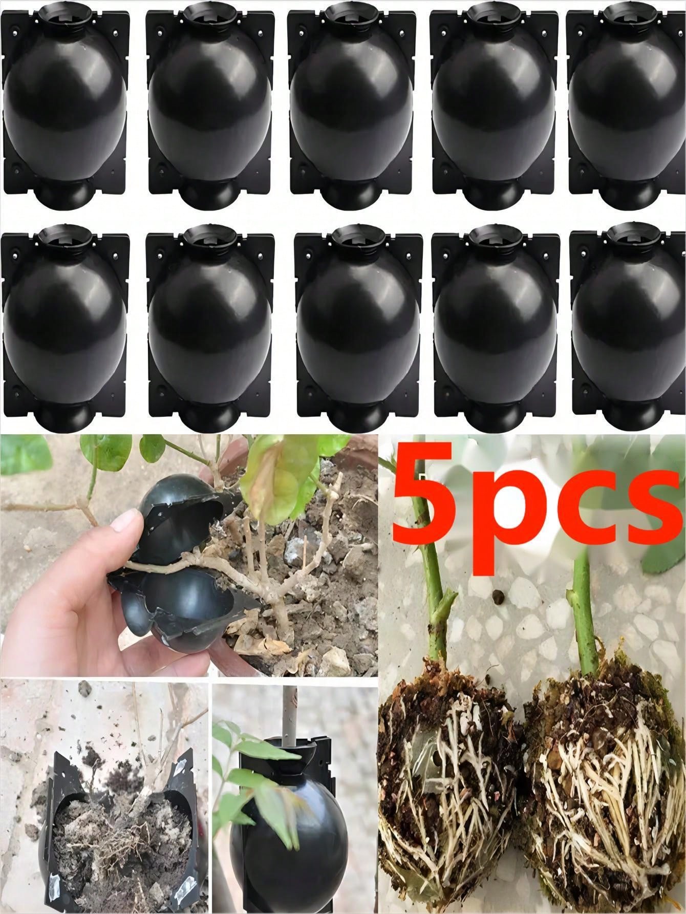 10 Pezzi Dispositivo di Radicazione delle Piante Scatola per la Crescita delle Radici delle Piante Scatola per Innesto di Piante Riutilizzabile per la Propagazione delle Piante