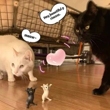 1入組跳舞貓筆筒適用於桌子,貓筆筒,可愛貓人物,有趣貓禮物適用於貓戀人,家庭裝飾用品裝飾品,搞笑桌子裝飾