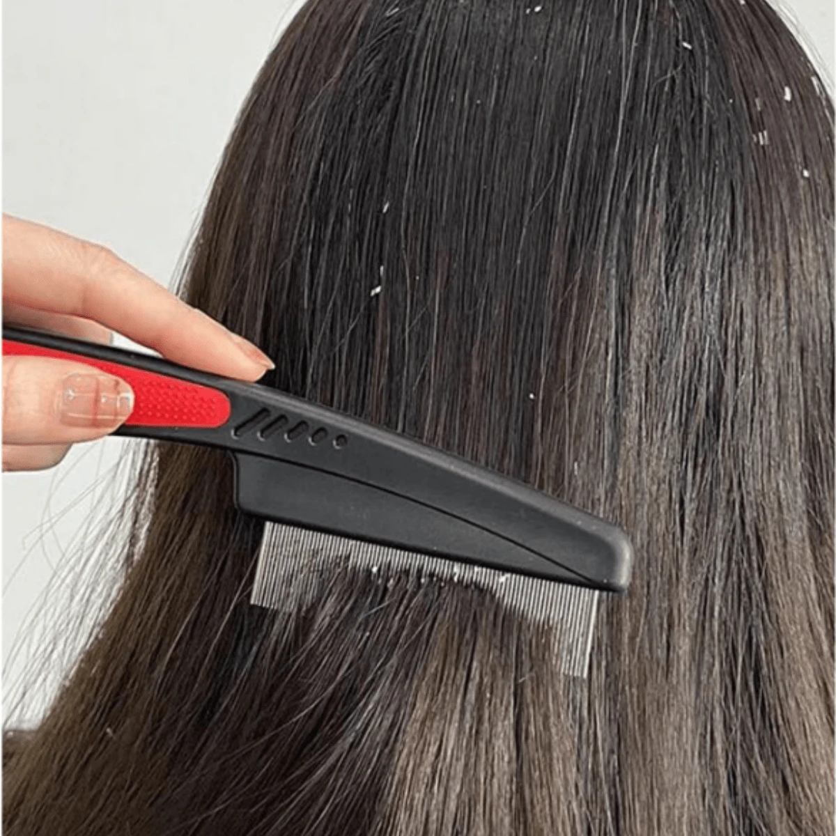 1入組密齒蝨子梳針頭單面梳,可用於梳理頭皮和清除虱子 - 彩色 - 查看 1