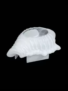 DIY Seashell Shaped Decoration Molds For Candle Making, Succulent Planter, Epoxy Resin, Silicone Molds - White - View 5
