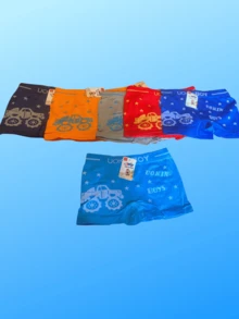 Set Of 6 Excellent Quality Lycra Boy Boxers, In Various Colors - Multicolor - View 2