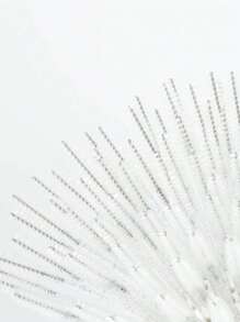 25pcs Disposable Eyelash Extension Brush Makeup Brush Mascara Wands Applicator Spoolers Eyelashes